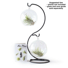 Metal Terrarium Hanger - Black.