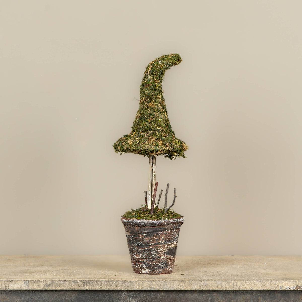 18" POTTED MOSS WITCH'S HAT