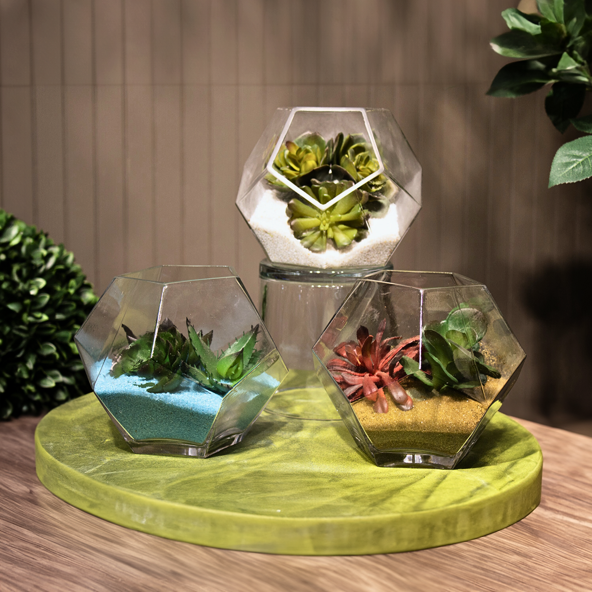 plant terrarium bowl 6.25"D Geometric Terrarium Bowl - Beckham Glass Vase