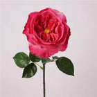 18"Elegant Real touch Juliet Rose-Moisture-touch coating