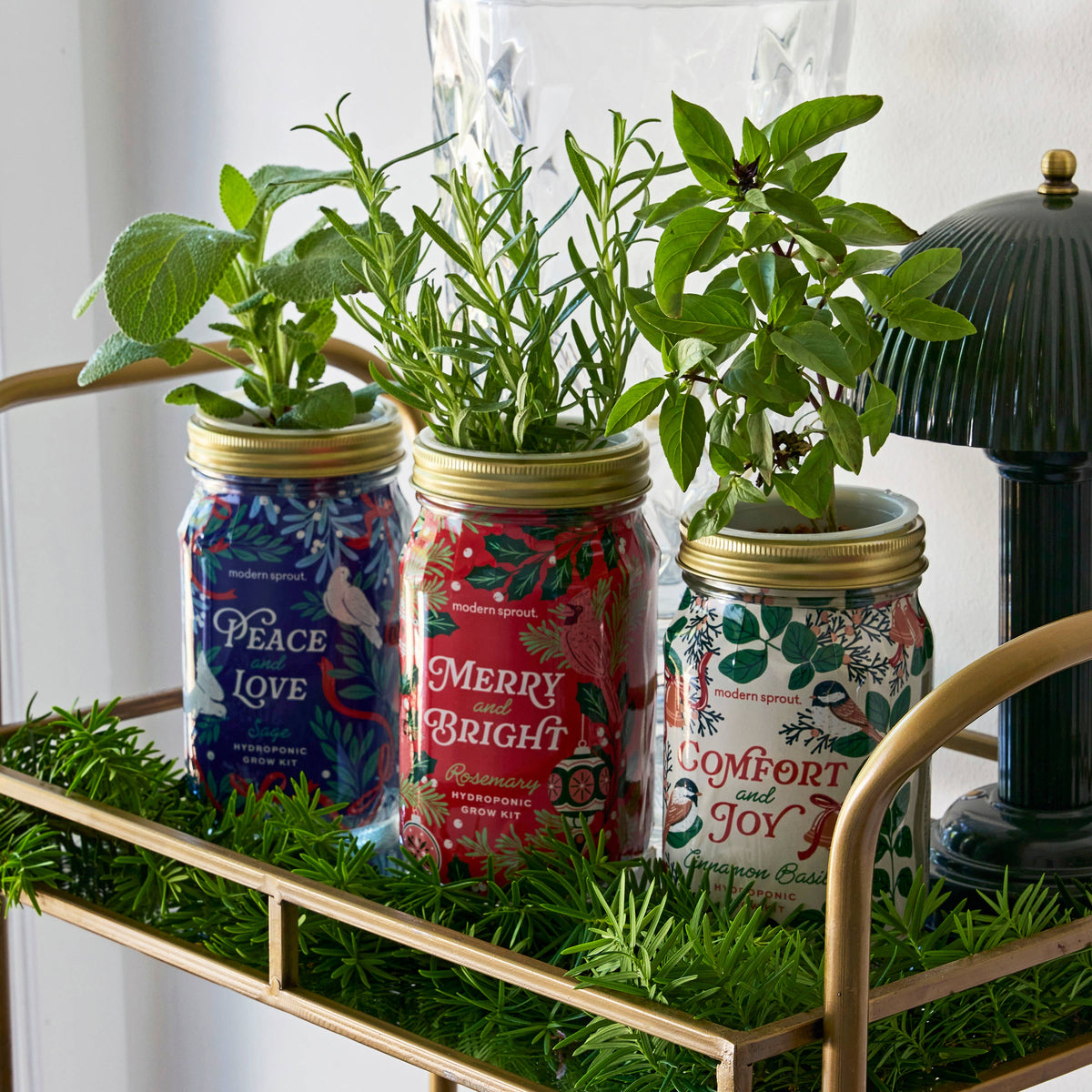 Holiday Herb Garden Jar