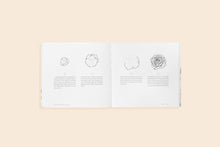How to Draw Modern Florals