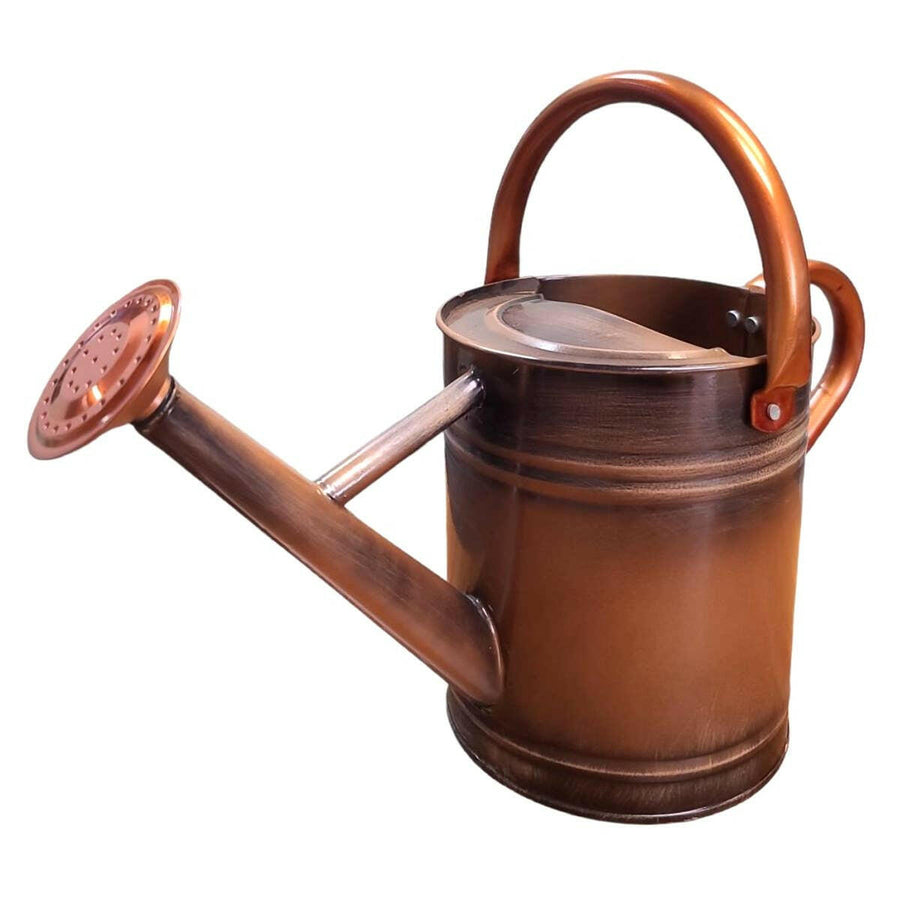 Lexi Home 3-Liter Removable Spout Watering Cans.