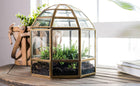 Urban Born Large Terrarium Birdcage, Glass and Metal, 10x9".