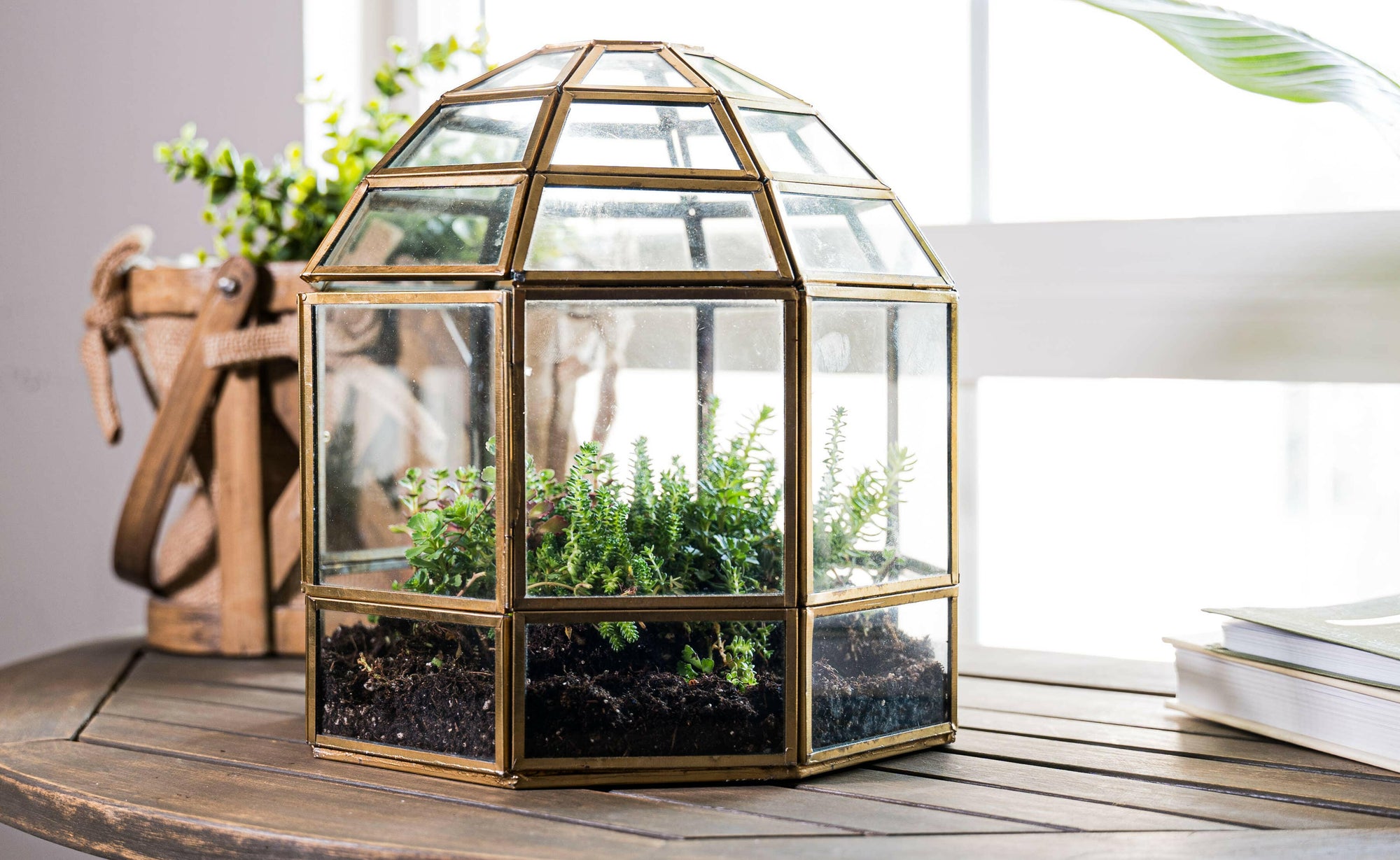 Urban Born Large Terrarium Birdcage, Glass and Metal, 10x9".