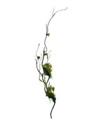 32"Designer's Selection-Moss Vine Tree branches