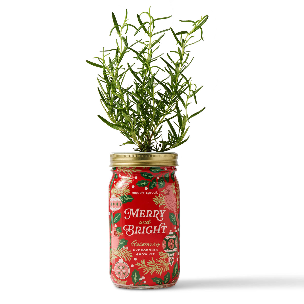 Holiday Herb Garden Jar