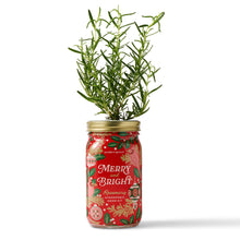 Holiday Herb Garden Jar