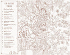 Brown Bear Wood: A Search-and-Find Coloring Book