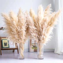 Tall Pampas Grass 10PCS Boho Decor Natural Home Decor Phragmites Dried Flowers Bouquet for Wedding Floral Arrangements Home Decorations (10PCS Tall Pampas Grass)