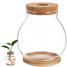 Clear Desktop Fish Bowl with Lid Small Glass Table Fish Tank with Wood lid Betta Aquarium Plant Terrarium Vase for Home Office Decoration Coffee