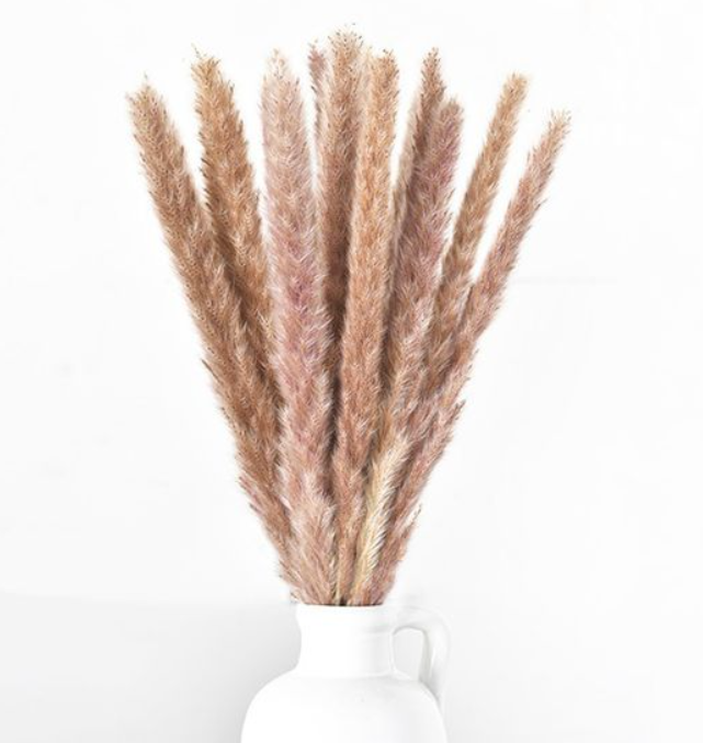 *INNER* 14 PC NATURAL PAMPAS BUNDLE.
